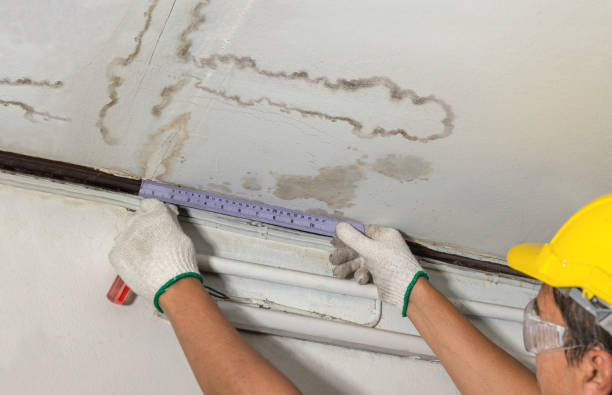 Reliable Burst Pipe Cleanup contractor in Captain Cook, HI by Water Damage Irwin